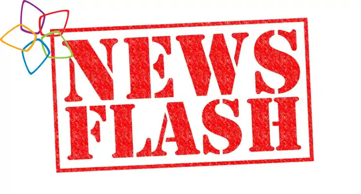 News Flash
