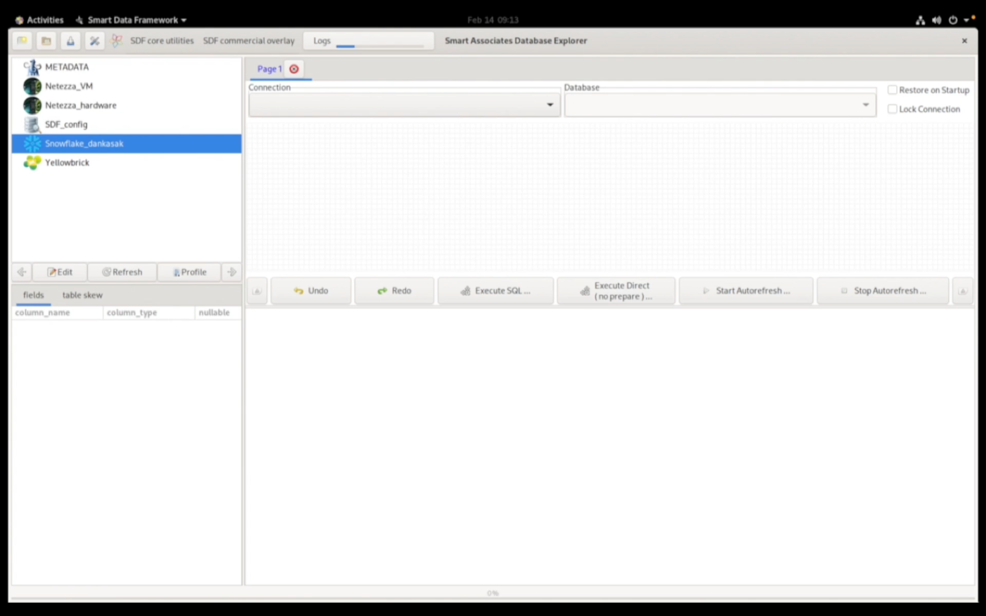 Database Explorer showing connections to Netezza, Snowflake, Yellowbrick, and other platforms